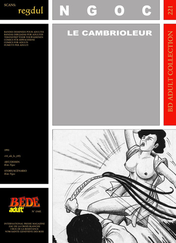 Kim Ngoc - Le Cambrioleur cover