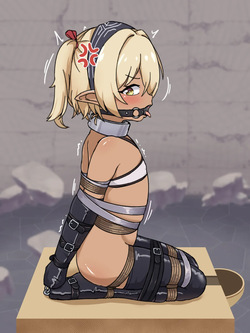 The Adventure of Dark Elf