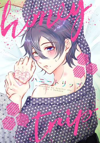 honey trip cover
