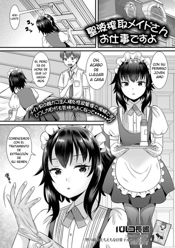 Seiki Sakushu Maid-san Oshigoto Desu Yo cover