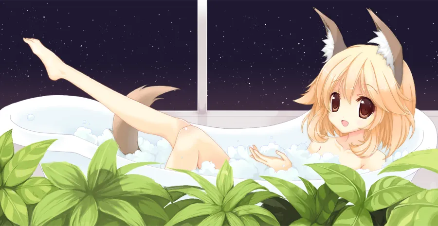 p19 🐈 page 3 full