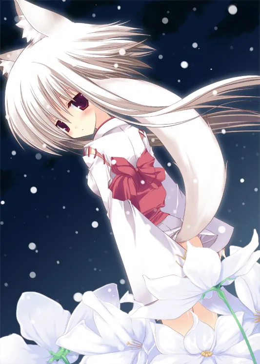 p19 🐈 page 8 full