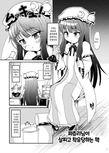 Patchouli-sama ga Futotte Sakunyuu Sareru Hon | 파츄리님이 살찌고 착유당하는 책 cover