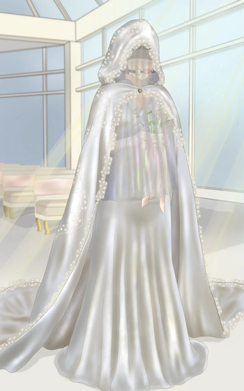 Dress restraint cover