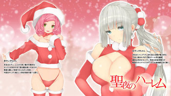 Holy Night Harem cover