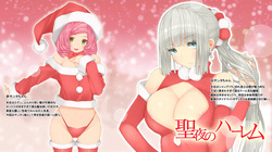 Holy Night Harem