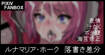 ルナマリアえっち絵差分 cover