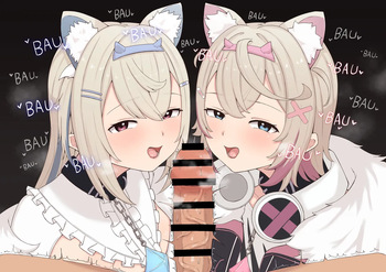 fwmc cover