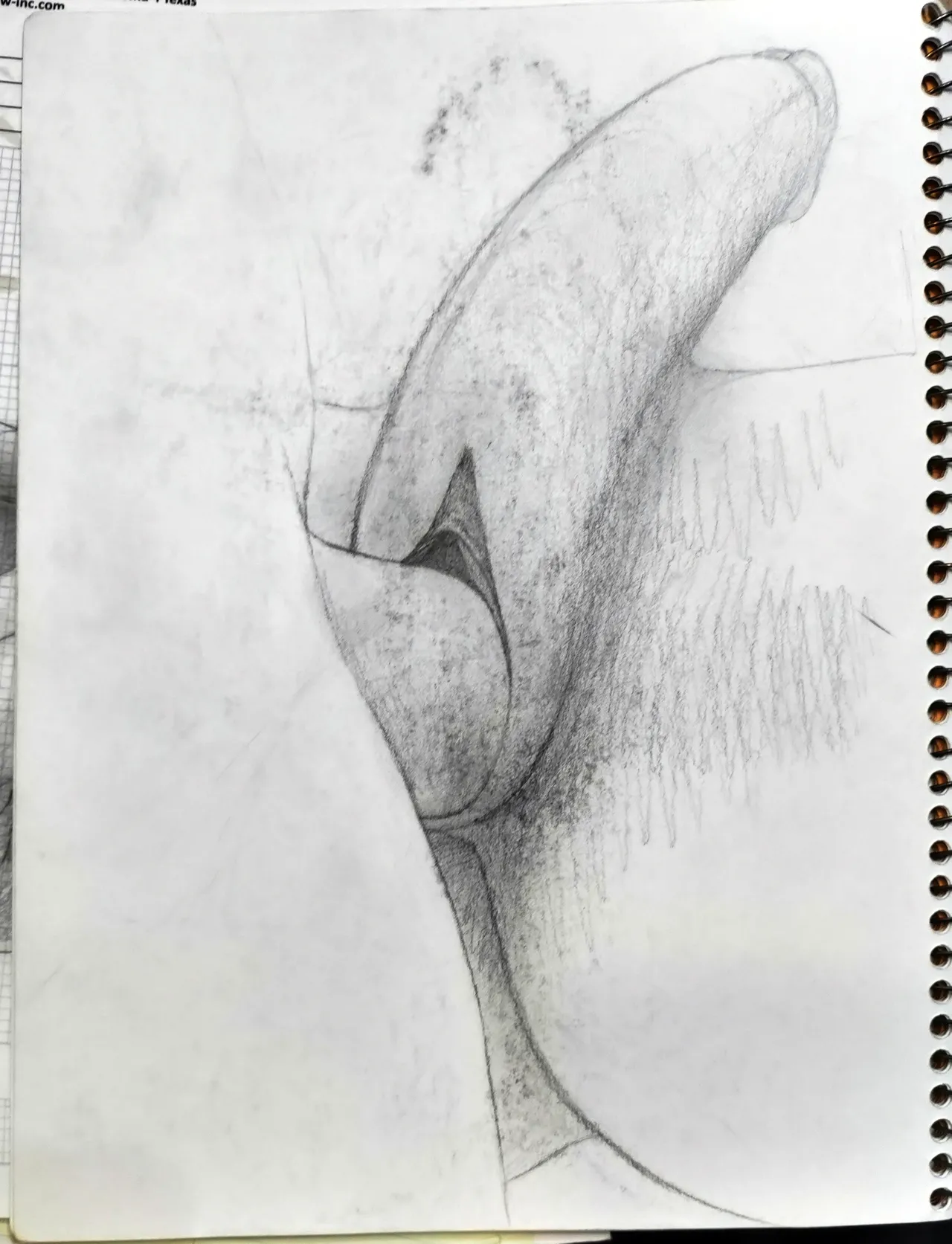 Futanari Drawn Right by ME page 8 full