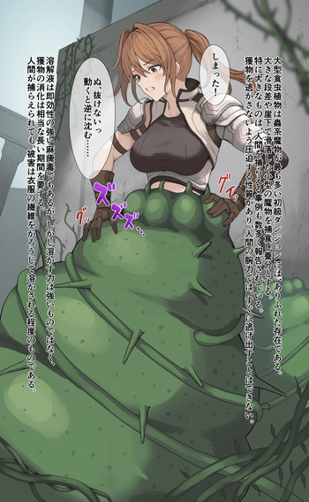 Dungeon no Mamono ni Kansuru Houkoku 2 cover