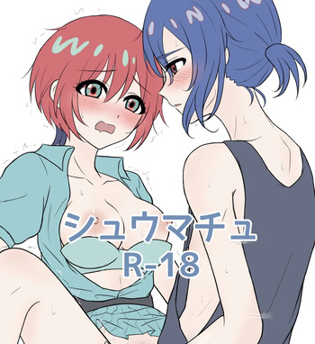 22 cover