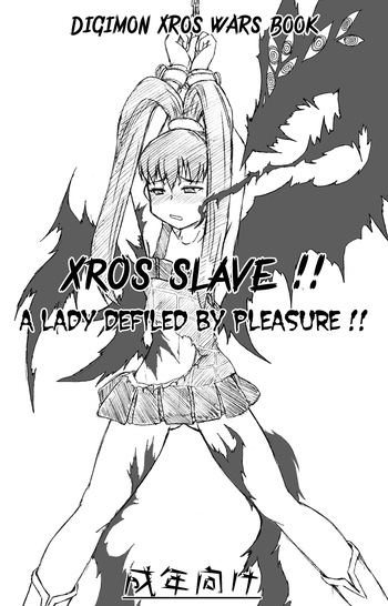 Xros Slave cover