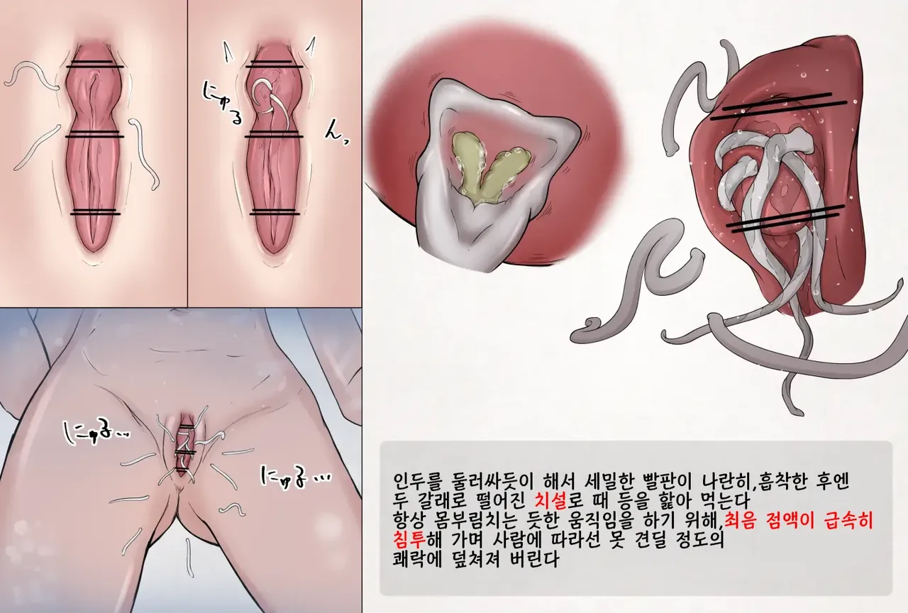 Mushi Research Report Ex_No.07 | 벌레 연구 보고서 Ex_No.7 page 3 full