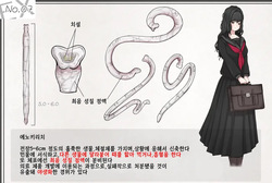 Mushi Research Report Ex_No.07 | 벌레 연구 보고서 Ex_No.7