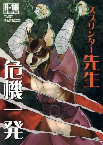 Splinter Sensei Kikiippatsu | Splinter Sensei's Crisis cover