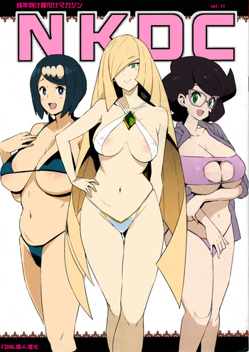 NKDC Vol. 11 cover
