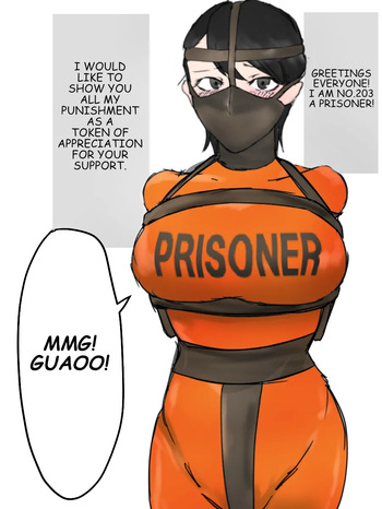 Prisoner's File cover