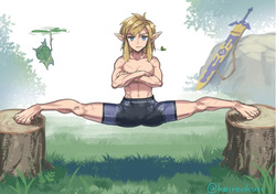 Zelda art - 松本痙  @keirenkun