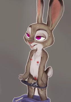 Artist - fuchs