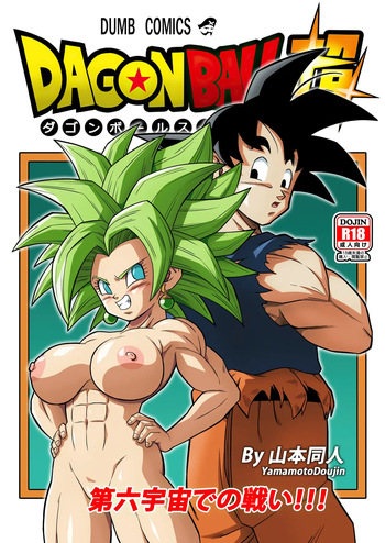 Fight in the 6th Universe!!! cover