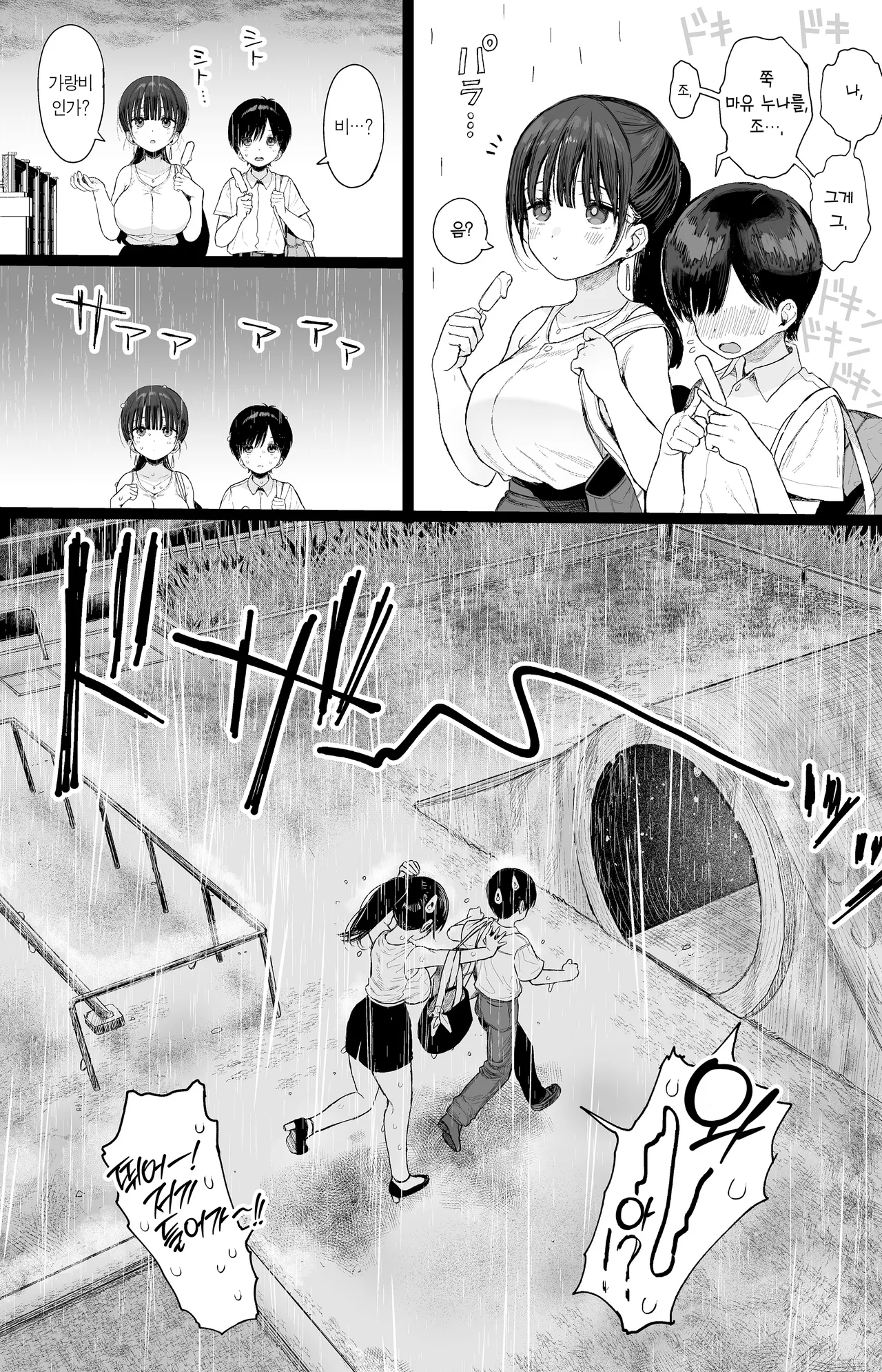 Osananajimi no H na Onee-san wa Suki desu ka? | 소꿉친구인 야한 누나는 좋아하시나요? page 10 full