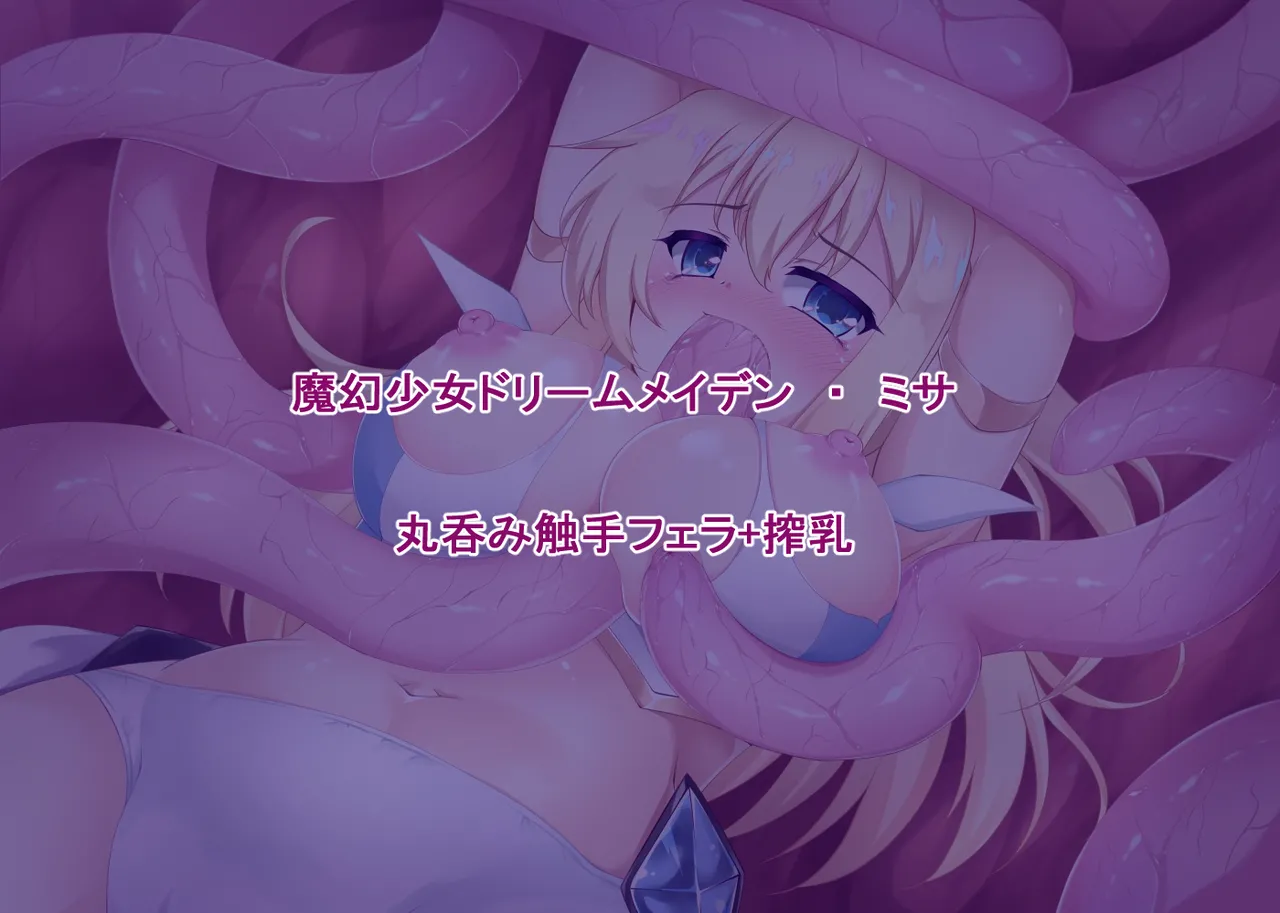 IF Magen Shoujo Dream Maiden ER・puremiamu BOX page 10 full