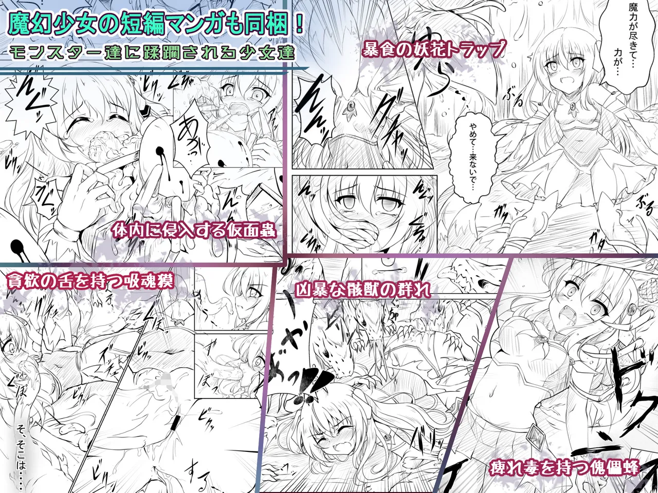 IF Magen Shoujo Dream Maiden ER・puremiamu BOX page 5 full