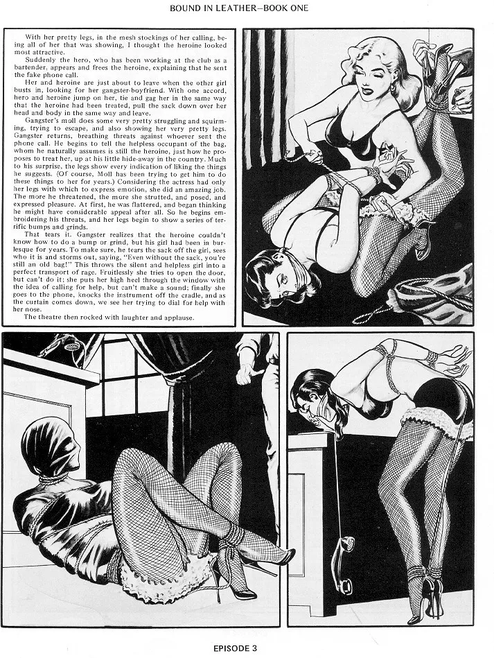 Eric Stanton &amp; Joe Cross - Bound in Leather #1 page 3 full