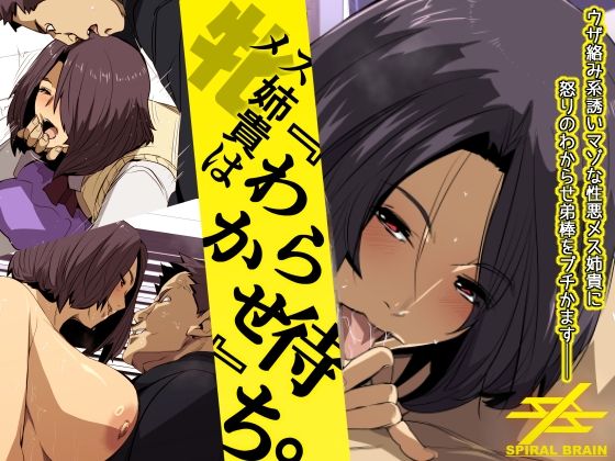 Mesu Aneki wa Wakarase Machi page 1 full