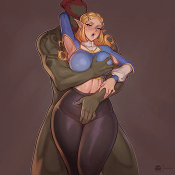 Zelda cover
