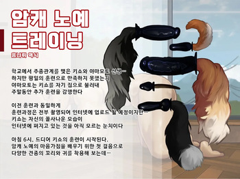 Dog Slave's Intermediate Training cover