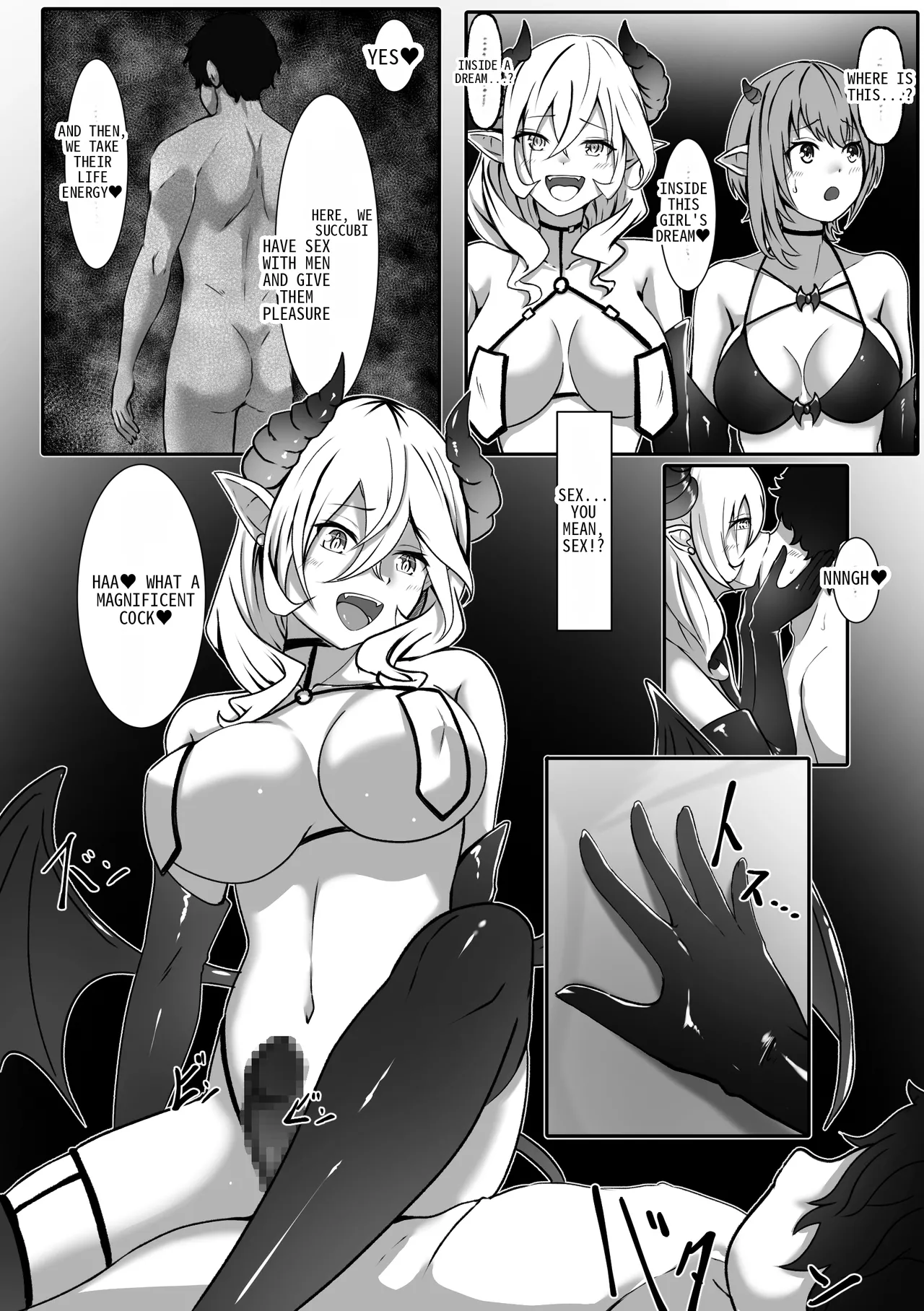 The Day I Became a Succubus - The Incubus Reincarnation Contract page 9 full
