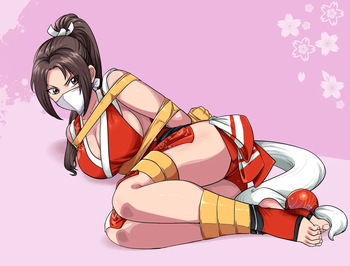 lostonezero Mai Shiranui不知火舞 图片集 cover