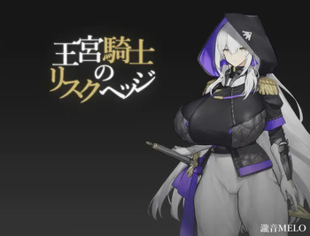 王宮騎士のリスクヘッジ cover