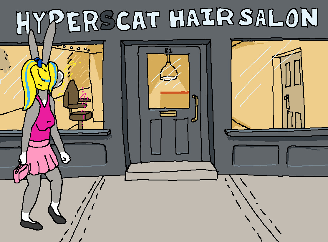 Hair Salon cover