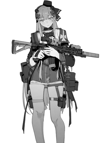 hk416 NTR series cover