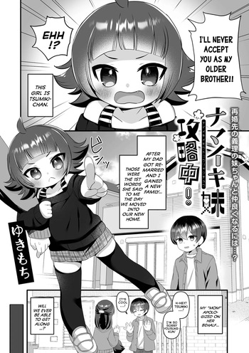 Namaiki Imouto Kouryakuchuu! | The Work-In-Progress Of Taming My Bratty Little-Sister! cover
