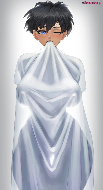 Videl cover