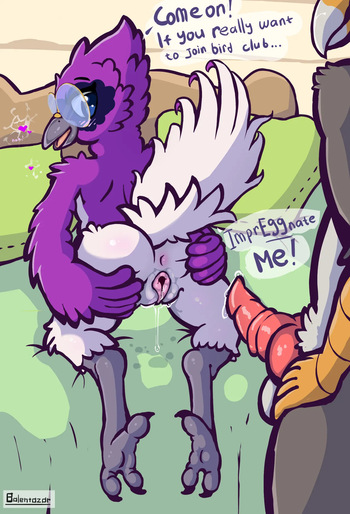 Bird Club cover