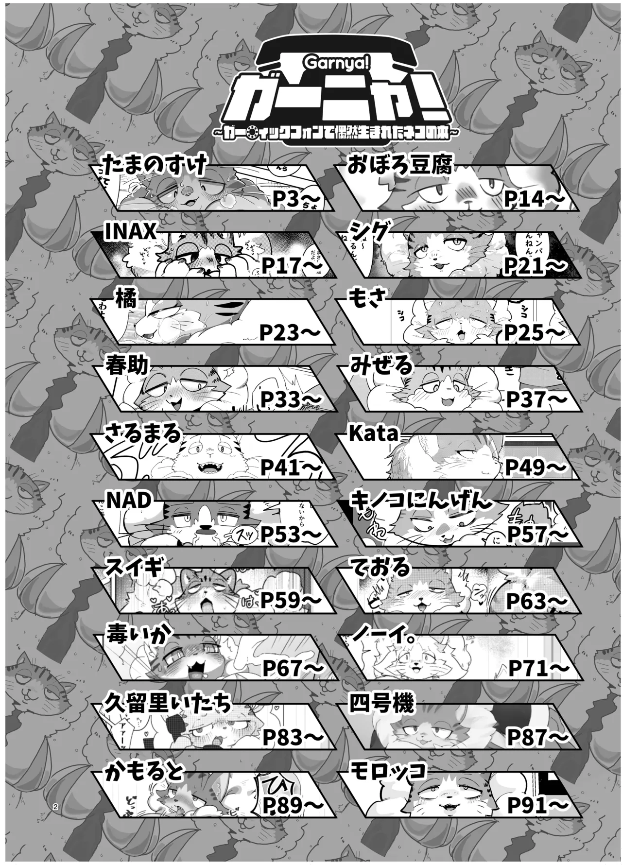 ガー〇ィックフォンで偶然生まれた猫の本 略してガーニャ本 page 3 full