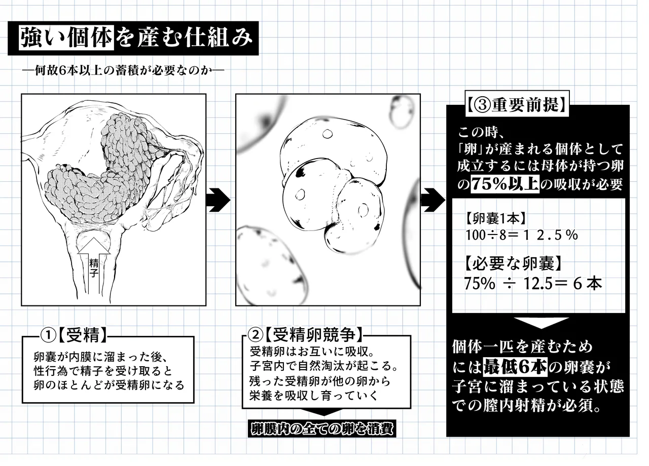 頭足種族の子宮構造について―アークナイツ生理・生殖化学― page 6 full