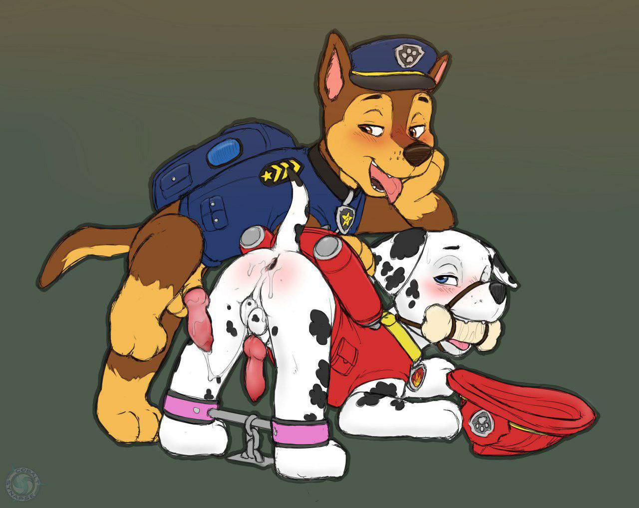 Paw Patrol page 1 full