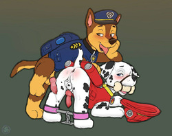 Paw Patrol