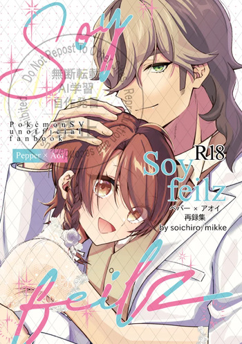 Soy feilz cover