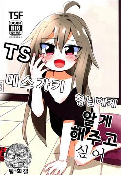 (C101) [Saneyaro] TS Mesugaki Aniki o Wakarasetai | TS 메스가키 형님에게 알게 해주고 싶어 [Korean] [팀 회갤]