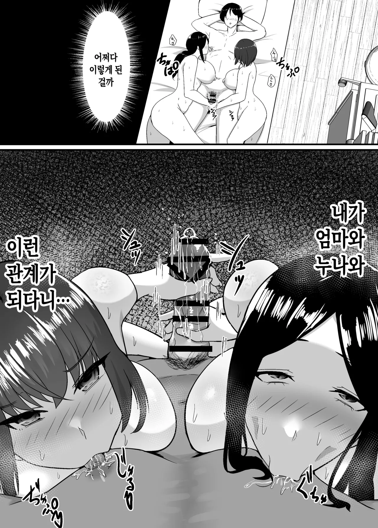 Haha to Ane to Ochite Iku | 엄마와 누나와 타락해 가다 page 2 full