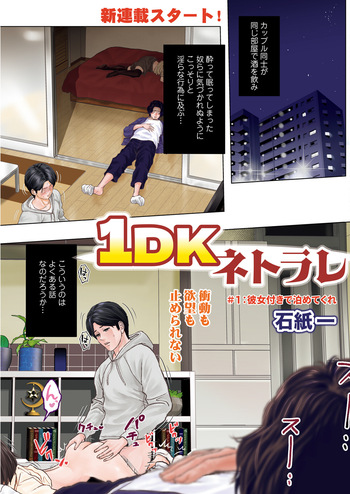 1DK Netorare cover