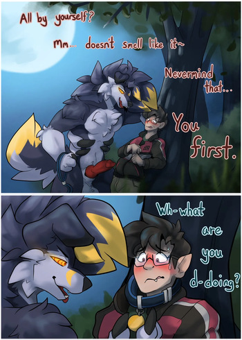 Lycanroc Woods cover