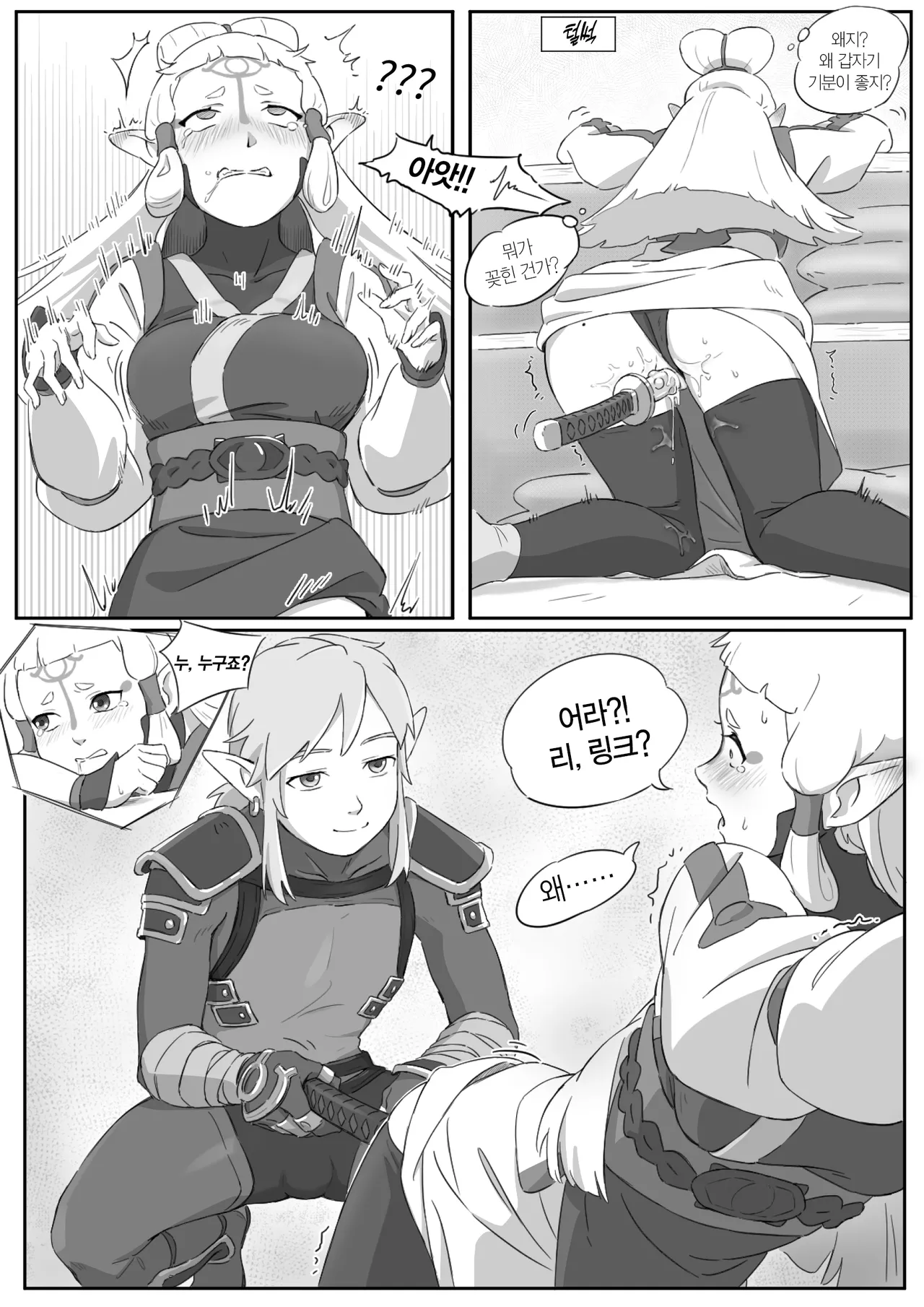 海拉鲁欲望传说 | 하이랄 욕망 전설 page 9 full