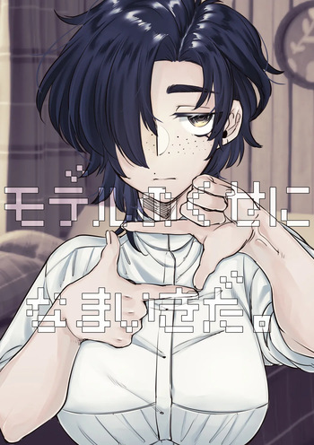 Model no Kuse ni Namaiki da. cover